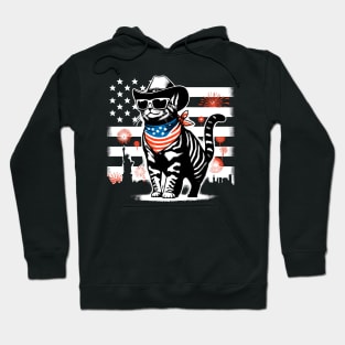 USA Flag Cat 4th of July Funny Patriotic Hoodie